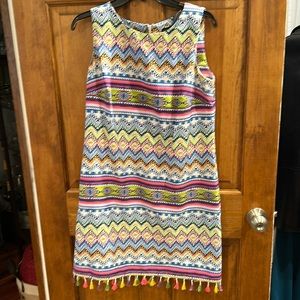 Cute multi colored sheath dress with fringe bottom , zips in back